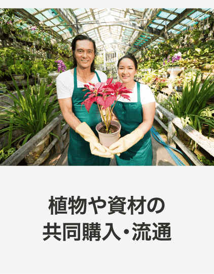 植物や私財の共同購入・流通