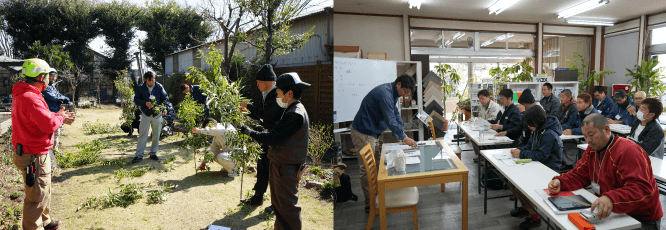 マイスター認定試験制度