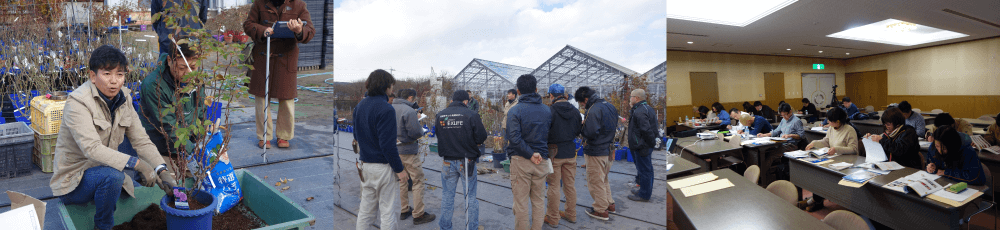 マイスター認定試験制度