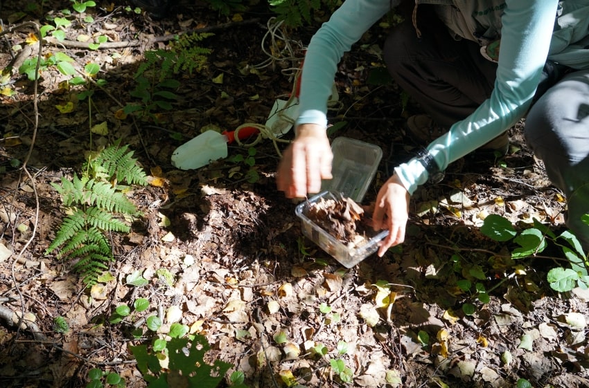 自然の植生研修会