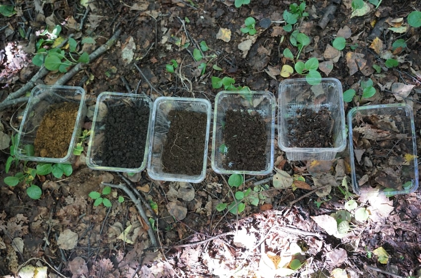 自然の植生研修会