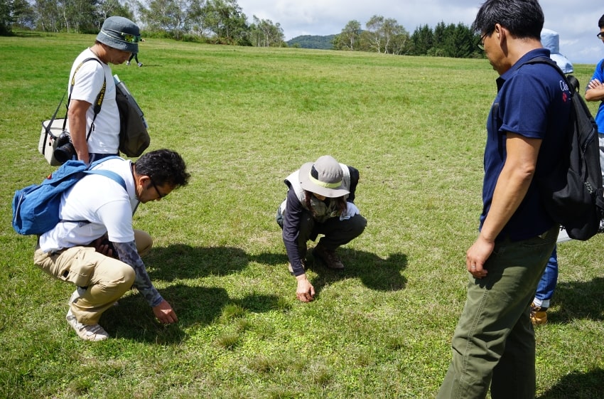 自然の植生研修会